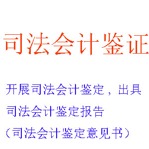 开展司法会计鉴定，出具司法会计鉴定报告（司法会计鉴定意见书）