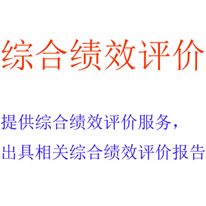 提供综合绩效评价服务，出具相关综合绩效评价报告