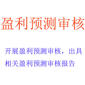 开展盈利预测审核，出具相关盈利预测审核报告