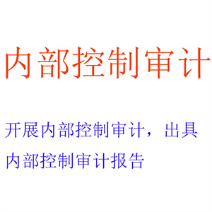 开展内部控制审计，出具内部控制审计报告