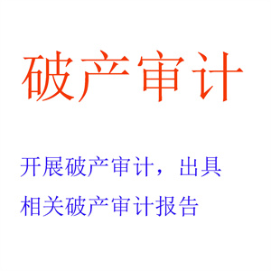 开展破产审计，出具相关破产审计报告