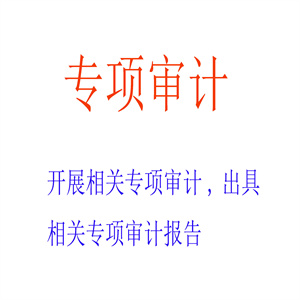 开展专项审计，出具相关专项审计报告