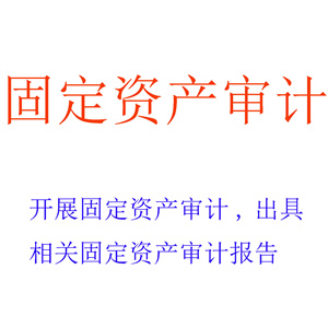 开展固定资产审计，出具相关固定资产审计报告