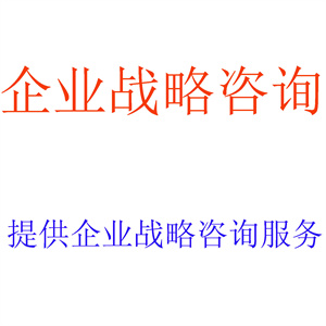 提供企业战略咨询服务，出具相关企业战略咨询报告