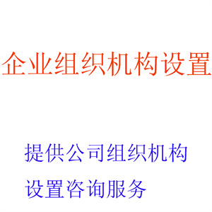 提供企业组织机构设置咨询服务，出具相关企业组织机构设置咨询报告