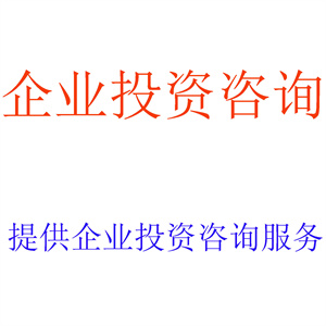 提供企业投资咨询服务，出具相关企业投资咨询报告