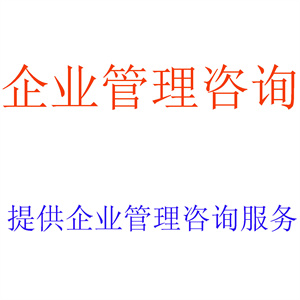 提供企业管理咨询服务，出具相关企业管理咨询报告
