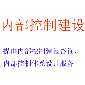 开展内部控制建设，出具内部控制建设咨询报告