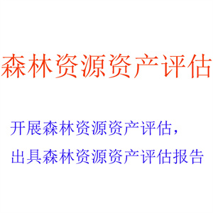 开展森林资源资产评估，出具森林资源资产评估报告