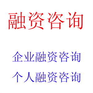 提供企业融资咨询服务