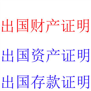 提供出国财产证明服务，出具出国财产证明报告