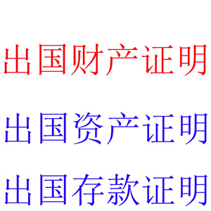 提供出国财产证明服务，出具出国财产证明报告