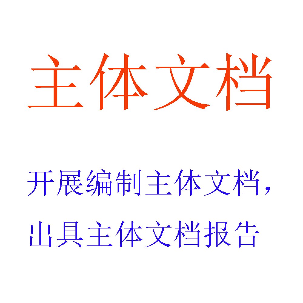 编制主体文档，出具主体文档报告