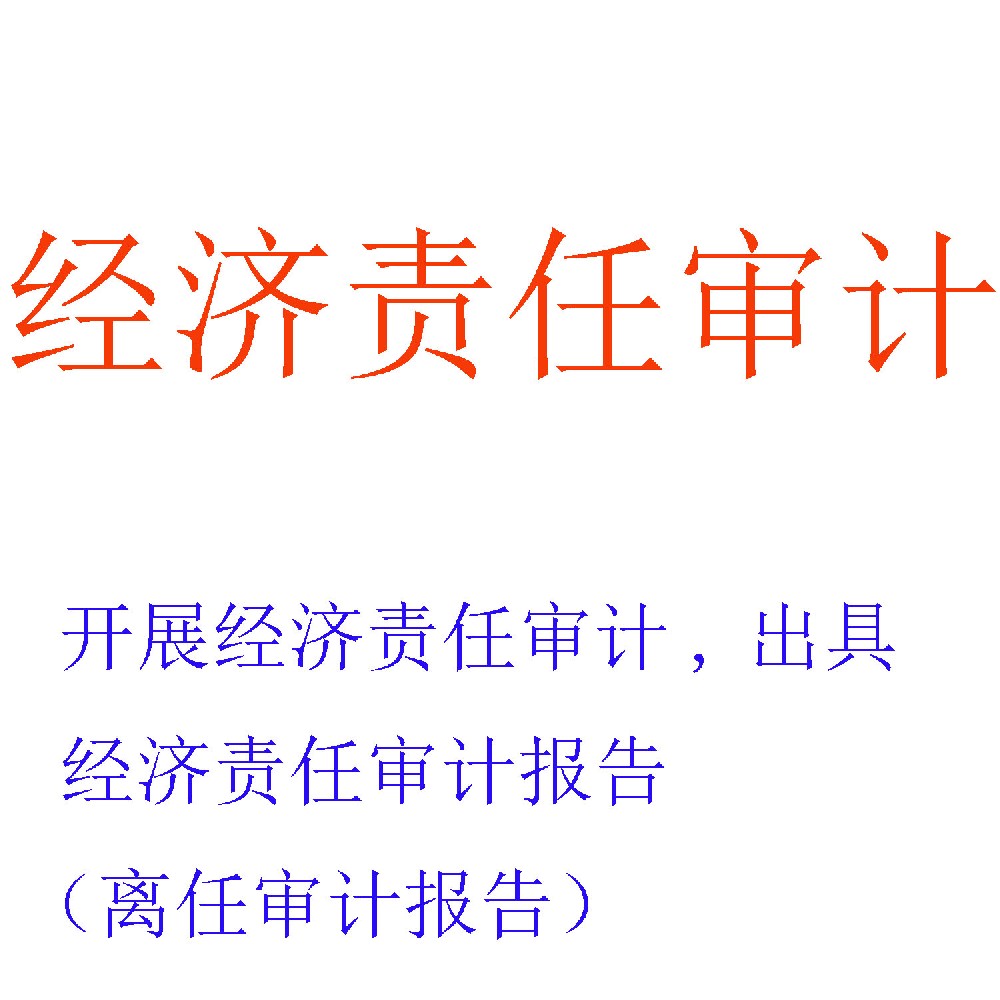 经济责任审计服务 | 领导干部履职尽责的客观评价者