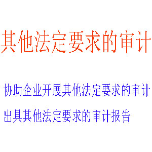 行业特定与监管专项审计服务｜应对复杂监管环境的合规导航专家