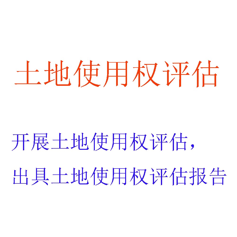 土地使用权评估服务