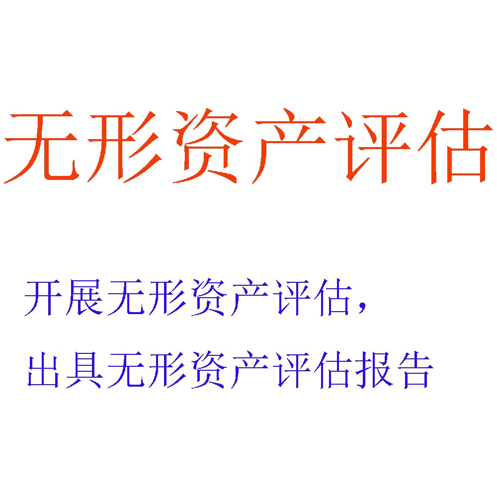无形资产评估服务