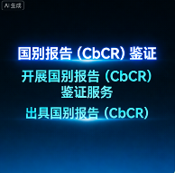 国别报告(CbCR)审核服务|应对全球税务透明化的关键数据质量把关