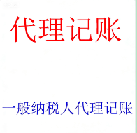 一般纳税人代理记账服务 | 高标准、精细化、全流程财税管理