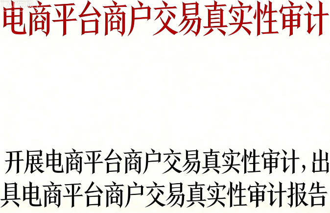 电商平台商户交易真实性审计 | 精准打击刷单炒信，净化平台生态，提供处罚依据