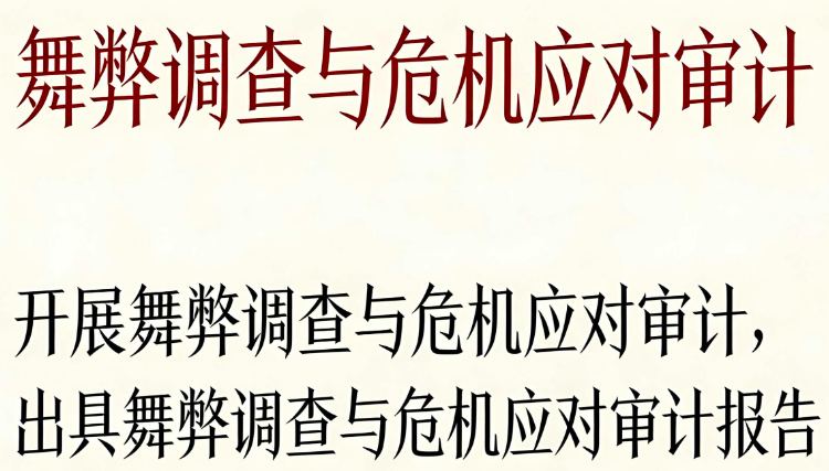 舞弊调查与危机应对审计 | 法证会计专家，快速查明财务舞弊，保全证据